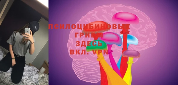 ГАЛЛЮЦИНОГЕННЫЕ ГРИБЫ Новокубанск