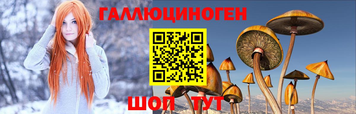 сколько стоит  Псилоцибиновые грибы Magic Shrooms  Вход с VPN  Евпатория 